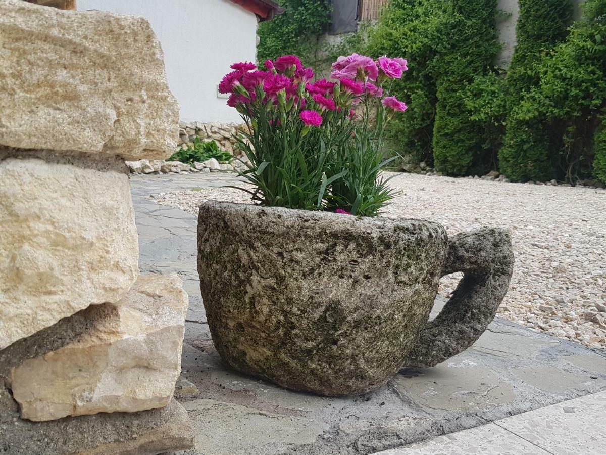 Apartmán Casa Bergwald Rîşnov Exteriér fotografie